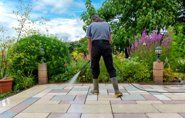  Homewood, IL Pressure Washing Pros